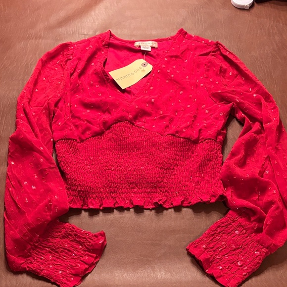 Elegant Red V-Neck Blouse with Sheer Sleeves - Picture 7 of 10